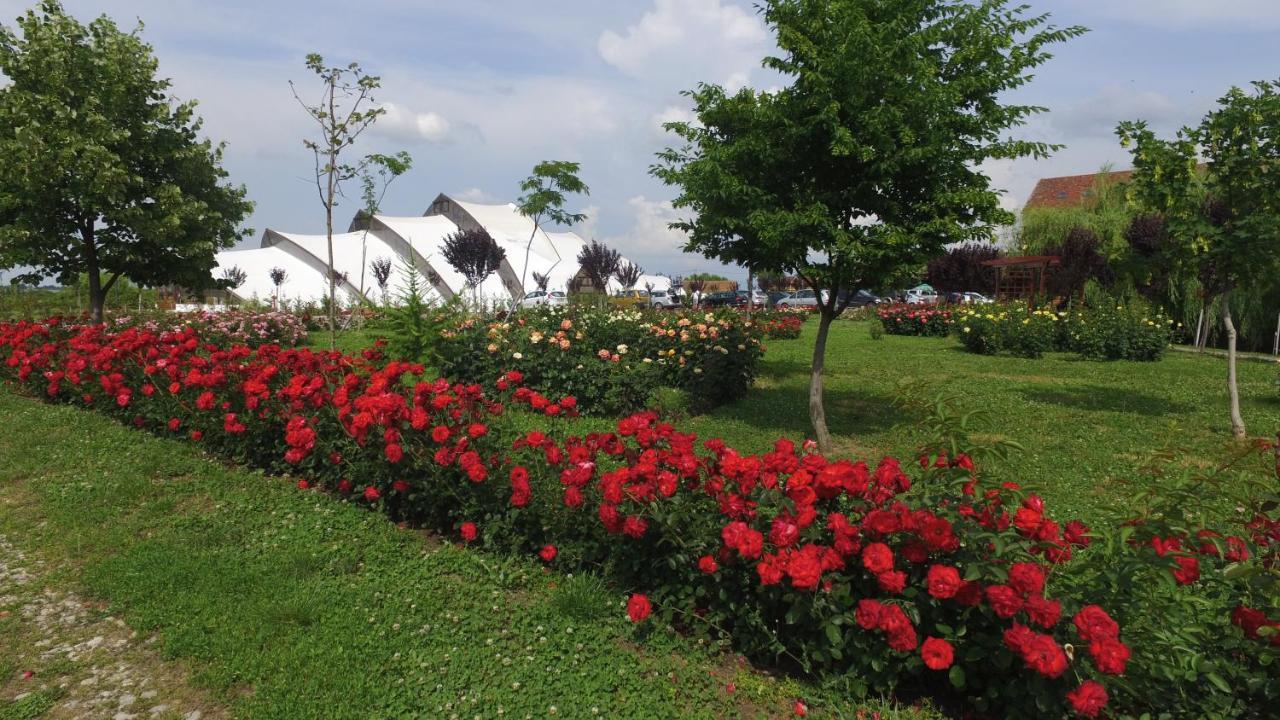 Hanul Moara Cu Noroc Ineu  외부 사진